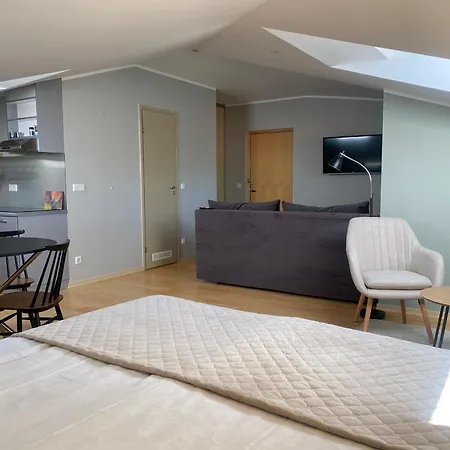 Apartmán Tallinn Street *